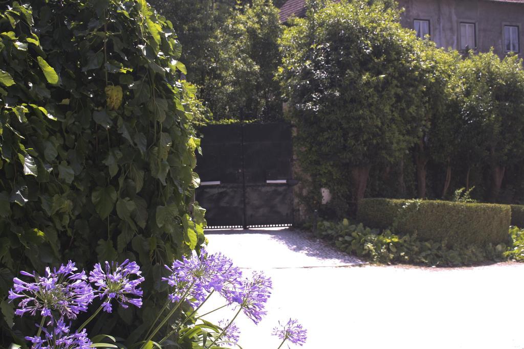 Hotel Sintra Jardim Luaran gambar