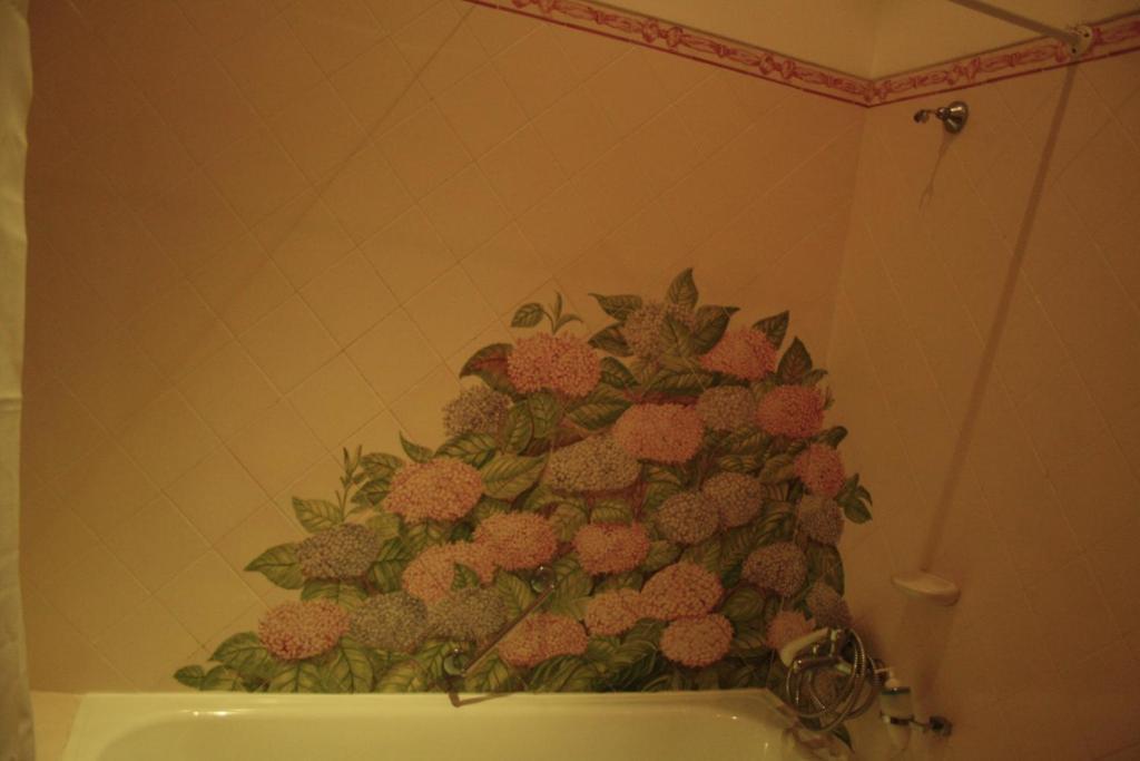 Hotel Sintra Jardim Bilik gambar