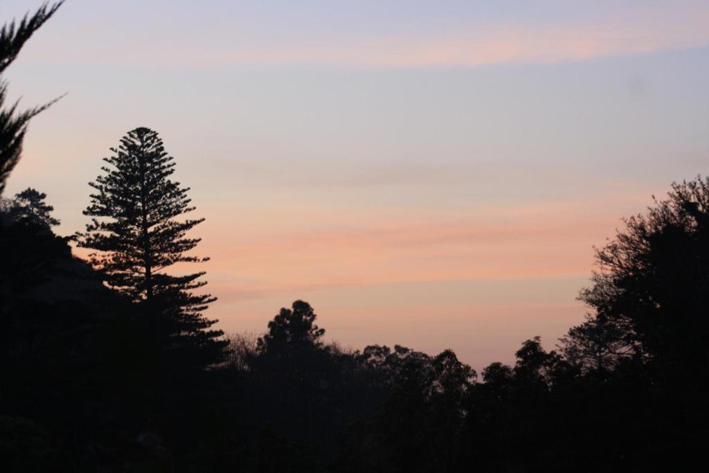 Hotel Sintra Jardim Luaran gambar